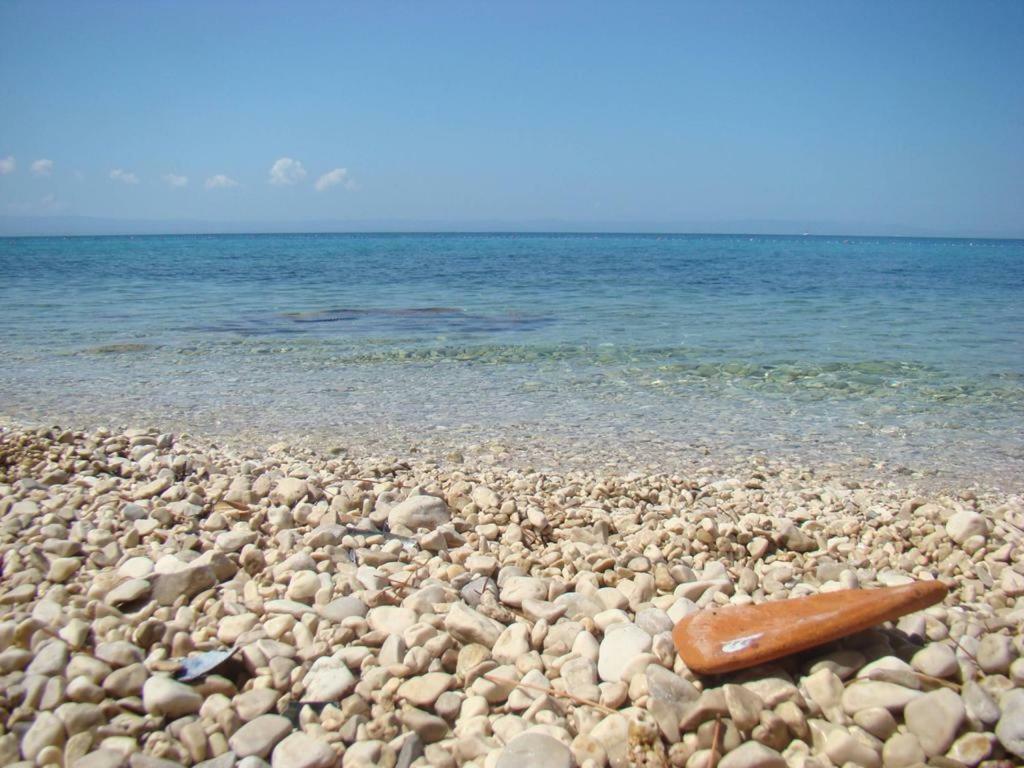 Dariana Apartment Makarska Bagian luar foto